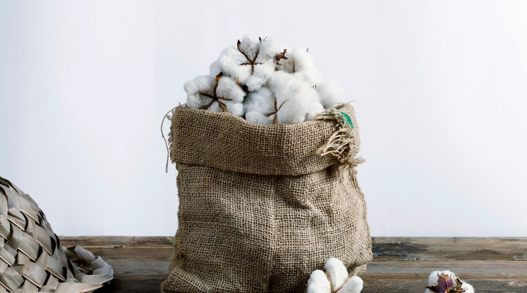 The Reality of Conventional Cotton