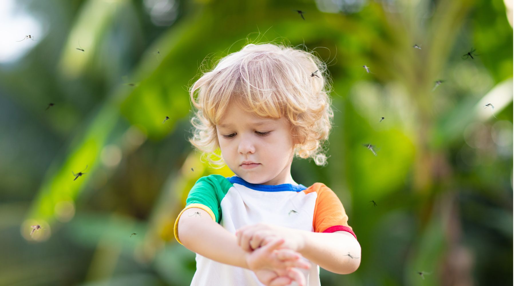 The Vital Role of Organic Clothing in Allergy Prevention for Children