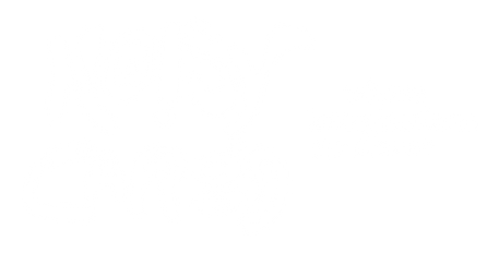 Noisy cargo logo